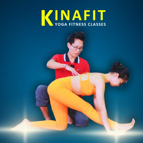 Hướng dẫn người mới bắt đầu tập Yoga trên app Kinafit
